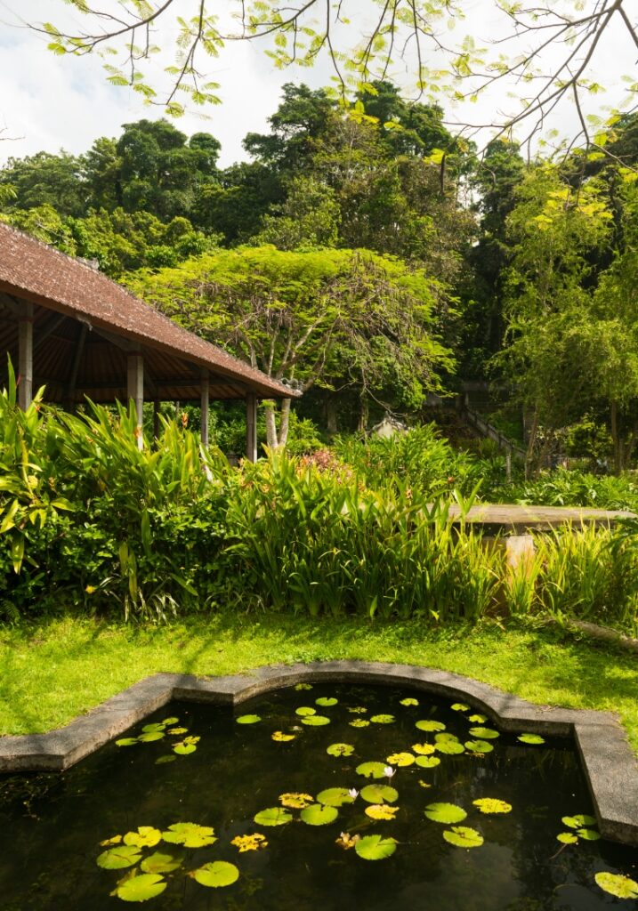 img_creation-jardin_bassin@2x