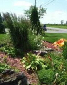 création espaces verts ville