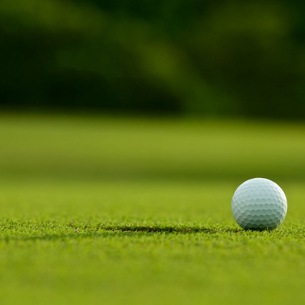 terrain de golf entretien