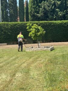 entretien débrousaillage particulier