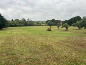 Tonte de jardin pour particulier