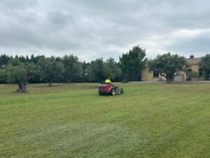 Service de tonte de jardin particulier